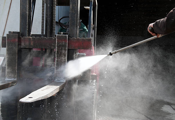 Best Roof Cleaning and Mildew Removal in Veedersburg, IN